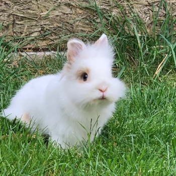 Flauschi Fiona neues Zuhause 5