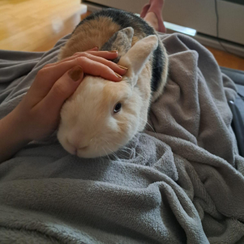 Theo neues Zuhause 6