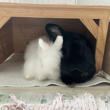 2024 08 Espresso neues Zuhause 1