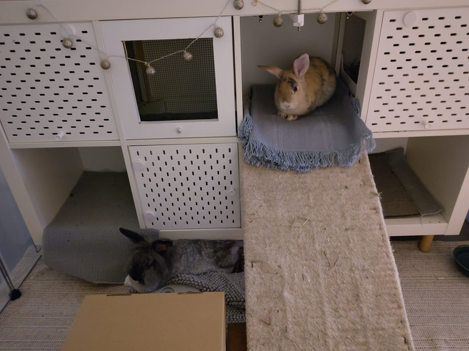 WhatsApp Bild 2025 08 18 um 13.08.26 28904a6d