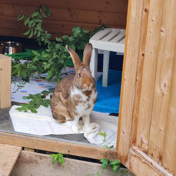 2024 Rory Zuhause gefunden 1