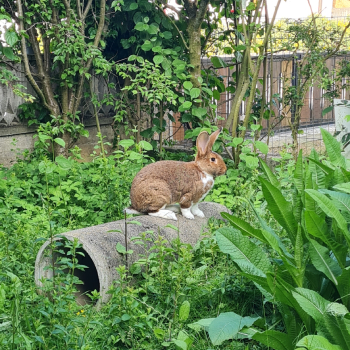 2024 Rory Zuhause gefunden 2