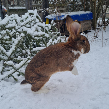 2024 Rory Zuhause gefunden 7