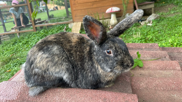 WhatsApp Bild 2025 09 02 um 20.50.56 220eb39f1