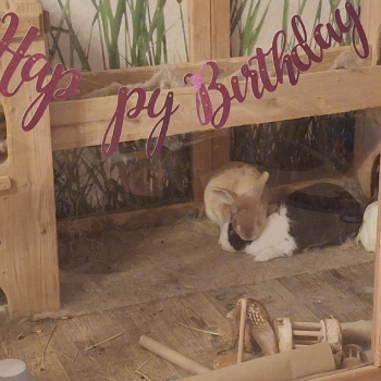 2024 04 Melody neues Zuhause 2