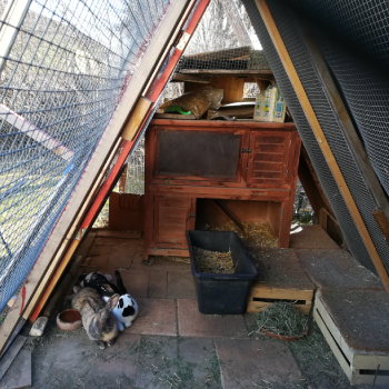 2024 11 Eddine Neues Zuhause 1