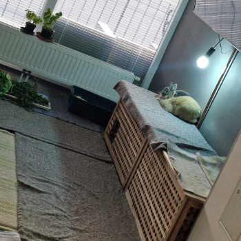 Nanni Zuhause gefunden 2