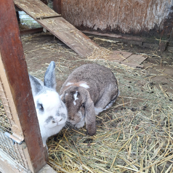 2025 12 Anabel im neuen Zuhause 1